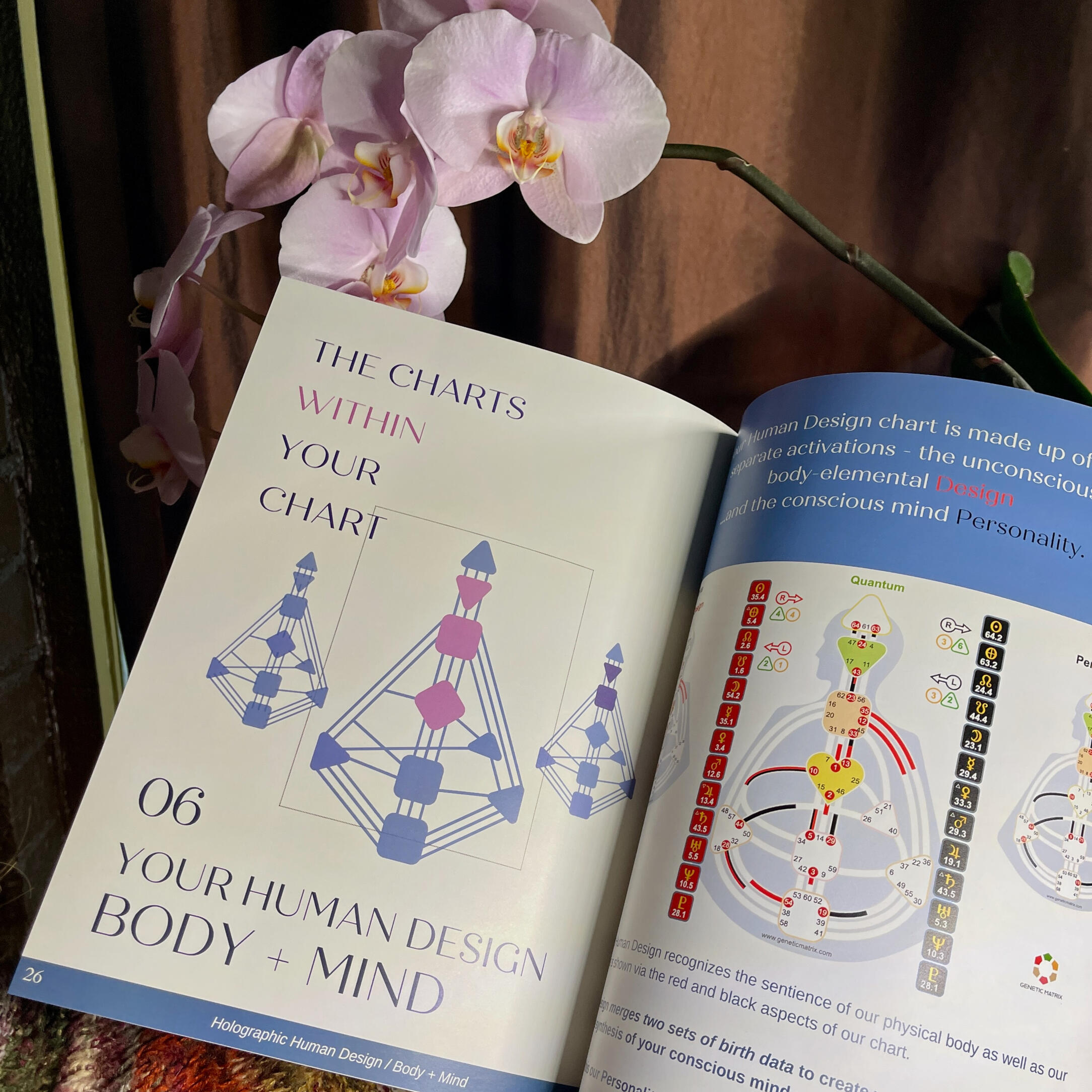 Chart Report Printed Book by Krystal Linnea of Human Design Self photo of full-colour printed Chart Report Book - optional upgrade for $44